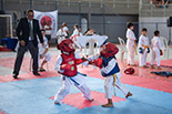 Foto 053