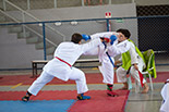 Foto 121